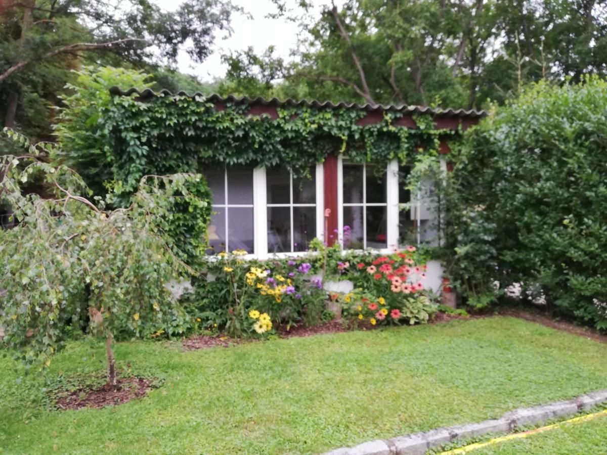 Villa Ferienhaeuschen Gruber Loosdorf Esterno foto