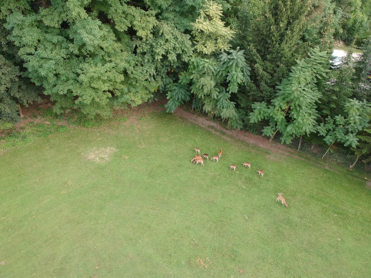 Villa Ferienhaeuschen Gruber Loosdorf Esterno foto